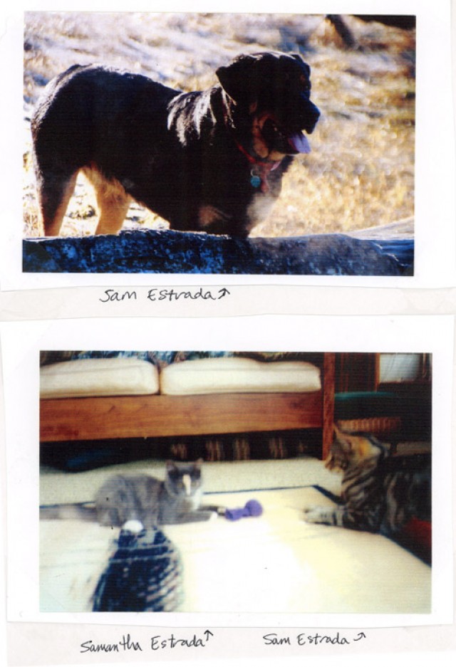 Carl's Pets