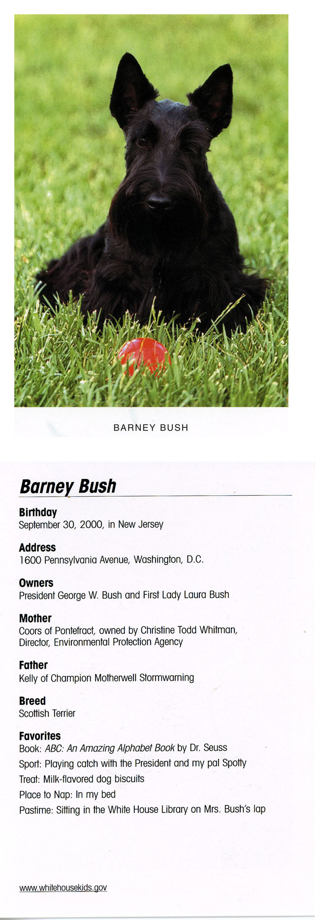 Barney Bush